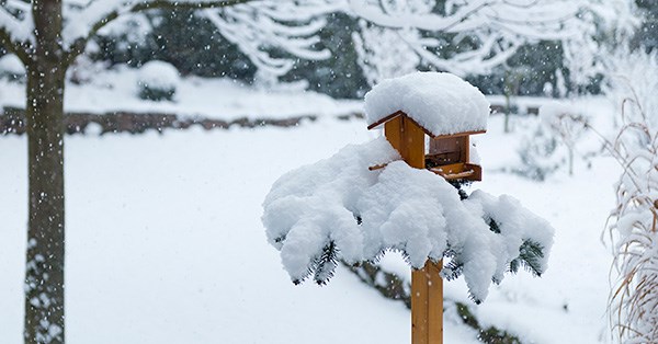 Fuglehus med snø på taket, til illustrasjon for vedlikehold om vinteren