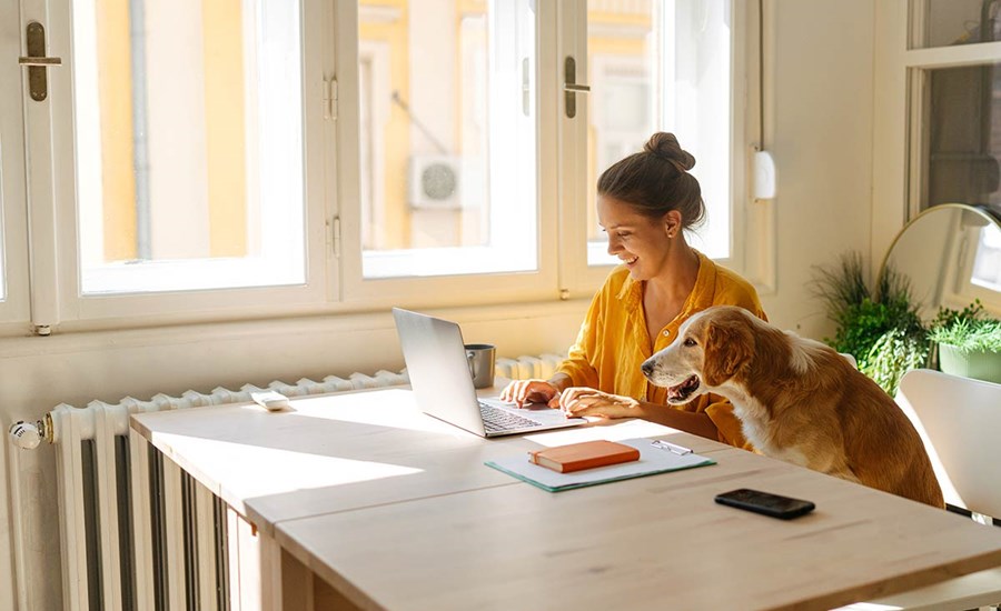 Dame og hund sitter ved spisebord og ser på laptop, til illustrasjon for BankID